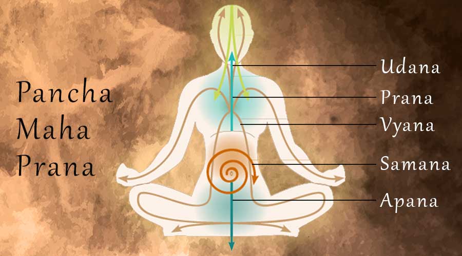 Hiểu biết về Prana